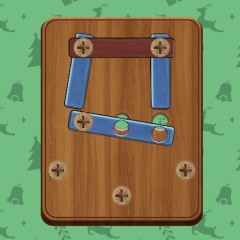 Woodnuts Bolts Puzzle